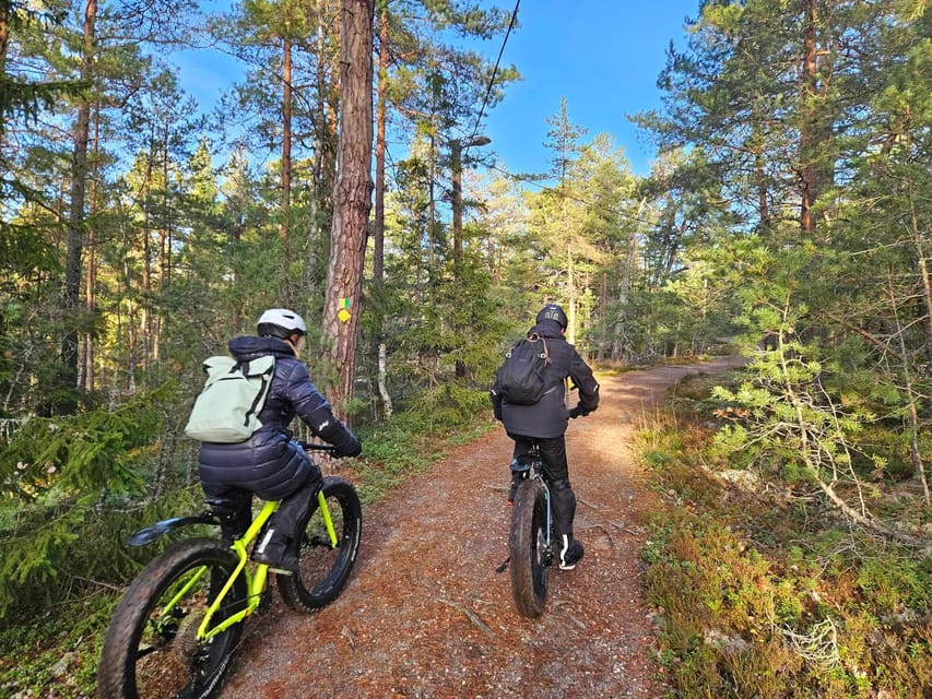 Stockholm: Fat Bike Forest Adventure with Lunch and Sauna - Who This Tour Suits Best (and Who Should Pass)