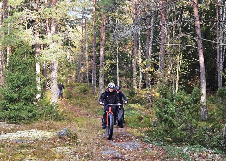 Stockholm: Fat Bike Forest Adventure with Lunch and Sauna - Should You Book This Fat Bike Forest Adventure?