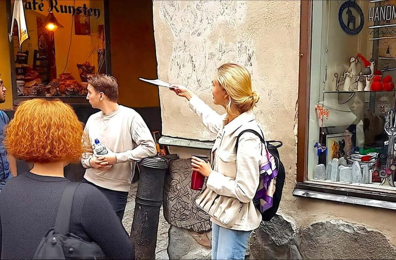 Stockholm Gamla Stan: Old Town Walking Tour with Local Guide - Gamla Stan main lane, German Church, and the alley that steals your attention