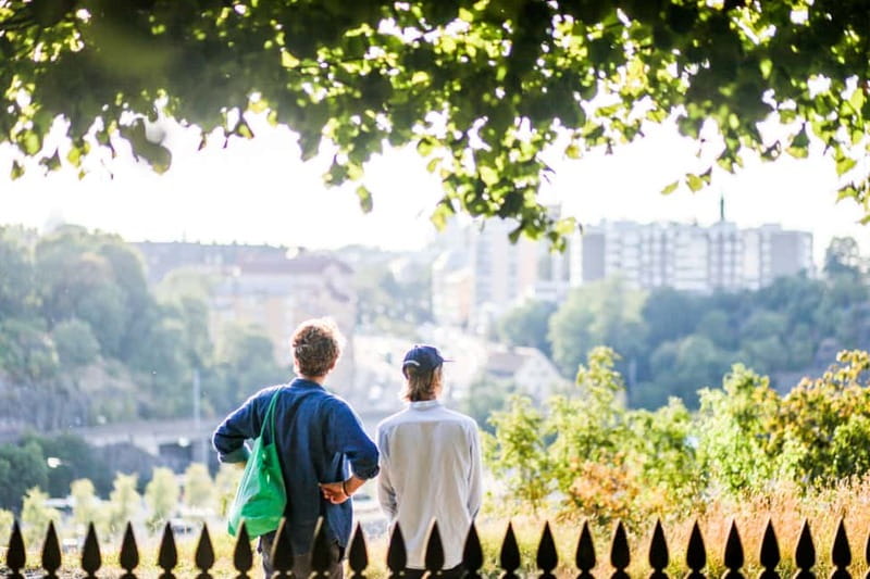 Stockholm: Highlights Guided Walking Tour - What you actually get for the price: $77 worth it?