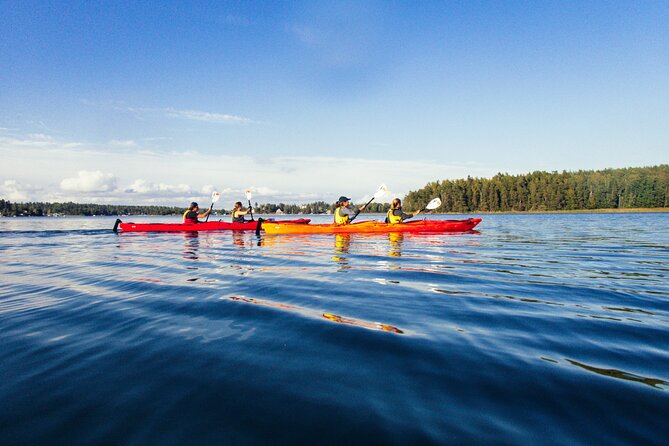 Stockholm: Kayaking tour around Vaxholm Archipelago with Fika - The route: how each stop adds a different flavor of the archipelago