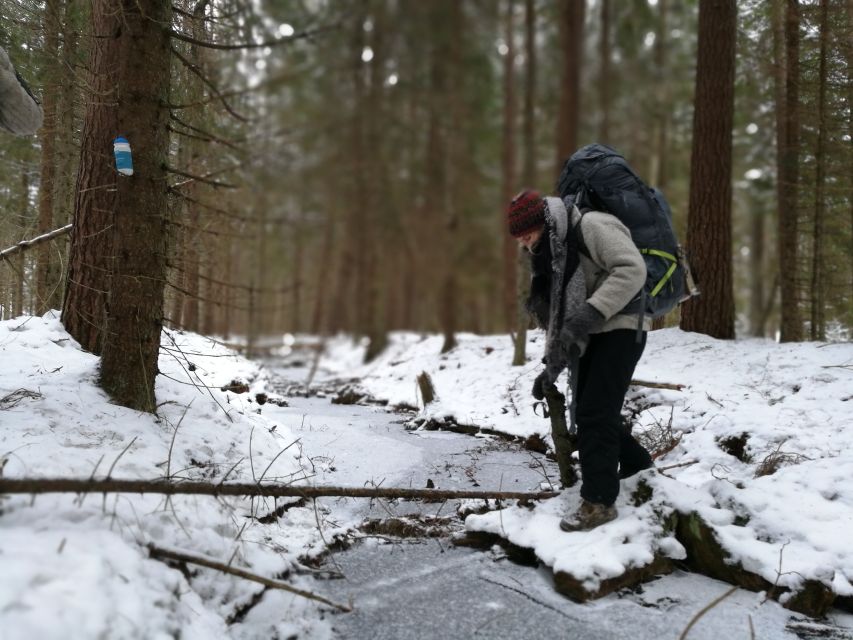 Stockholm: Nature Hike with Campfire Lunch - Key Highlights That Make This Hike Worth Your Time