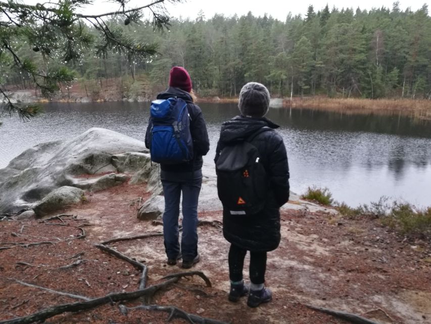 Stockholm: Nature Hike with Campfire Lunch - Learning the Forest: Plants, Animals, and Swedish Nature Culture