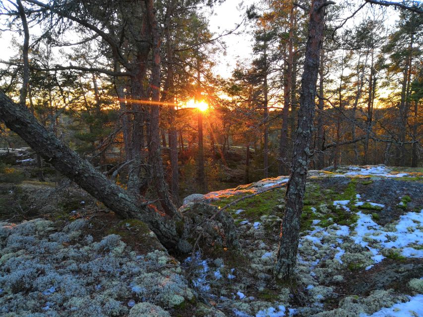 Stockholm: Nature Hike with Campfire Lunch - Price and Value: Is $149 Fair for This 7-Hour Hike?
