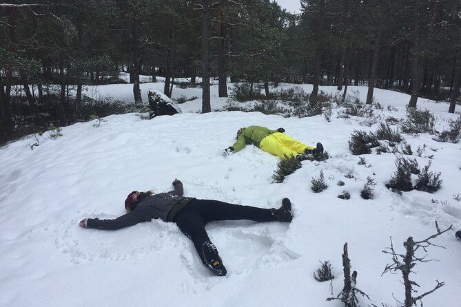Stockholm: Nature Reserve Hiking Tour with Campfire Lunch - Key things I’d circle before you go