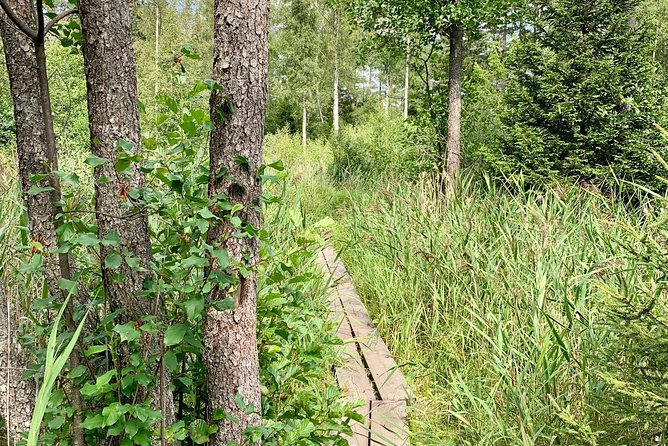 Stockholm: Nature Reserve Hiking Tour with Campfire Lunch - Campfire Lunch in a Secluded Spot: BBQ, Fika, and Real Dietary Options