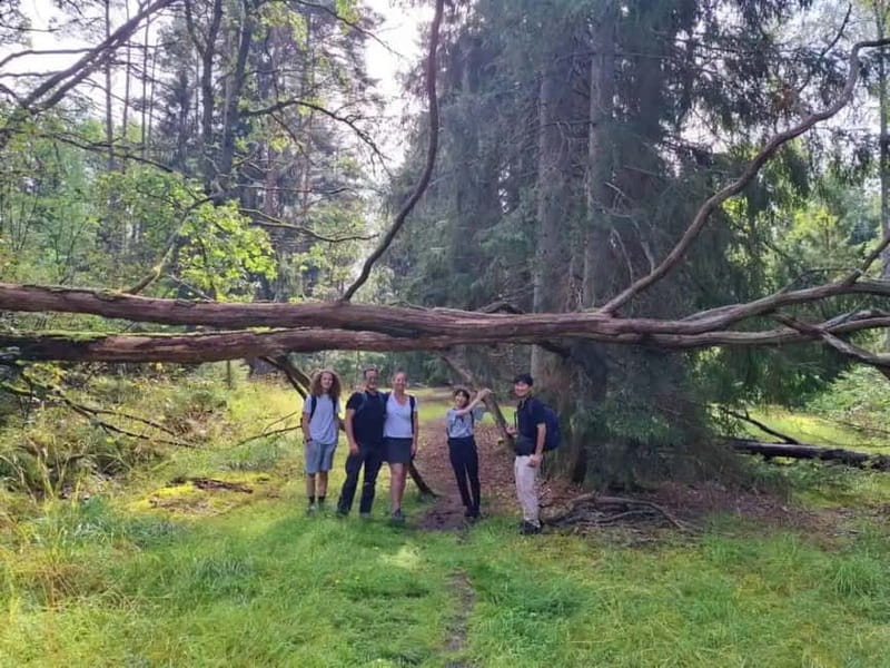 Stockholm: Nature Reserve Hiking Tour with Campfire Lunch - Price and Value: Is $138 Worth It?