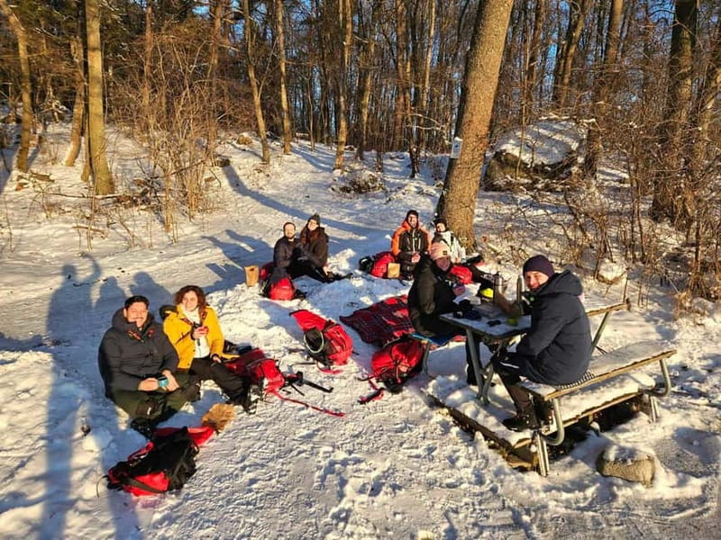 Stockholm: Nordic Ice Skating for Beginners on a Frozen Lake - When Standard Skates Don’t Click: The Kicksled Option