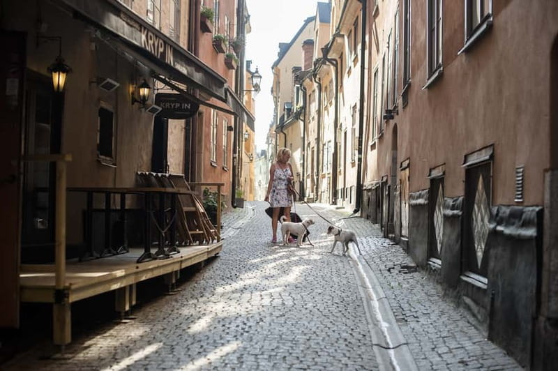 Stockholm: Old Town & Vasa Museum Skip-the-Line Private Tour - Key things that make this tour worth your time