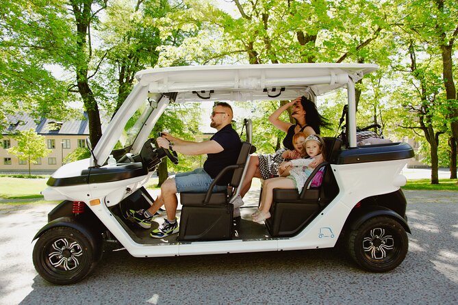 Stockholm Private Golf Cart Tours - Central landmarks, design museums, and the city’s modern layer