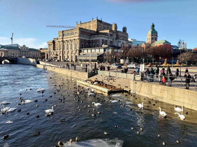 Stockholm: Private Guided Car Tour and Vasa Museum Entry - Why a private car tour plus Vasa Museum works so well in Stockholm