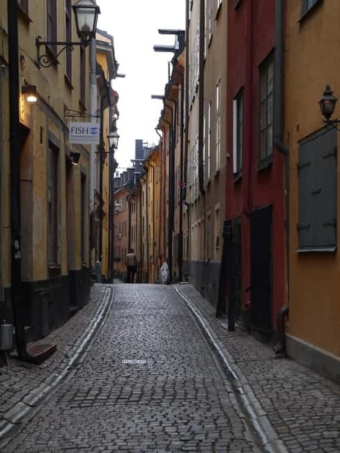 Stockholm: Private Guided Car Tour and Vasa Museum Entry - Personalizing the route on the fly with a live guide
