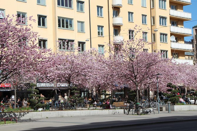 Stockholm Private Tour with a Local: Hip & Bohemian Sodermalm 3hr - Getting Started at NK Korv & Glass, Plus Hotel Meet-Up Options