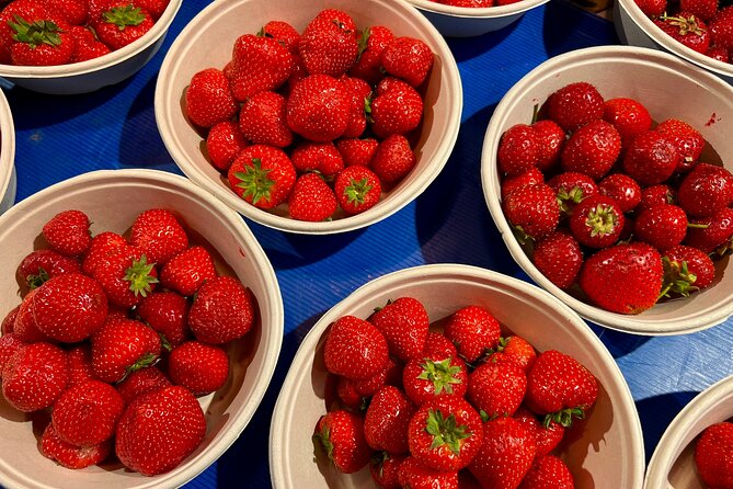 Stockholm Private Walking Food Tour - Walking Comfort and Timing: The Stuff That Affects Your Day