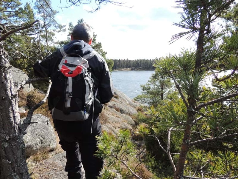 Stockholm: Self-Guided hiking in beautiful nature - Choosing the Right Route, Park Walk vs Big Climb vs Short Lakes