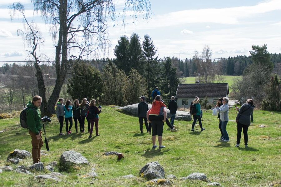 Stockholm: Sigtuna and Uppsala Viking History Day Tour - A focused Viking day trip that actually uses the countryside