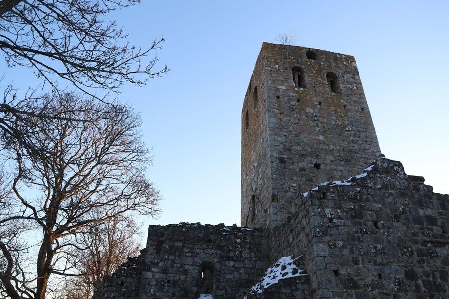 Stockholm: Sigtuna and Uppsala Viking History Day Tour - Pickup, van rides, and the tempo of the day