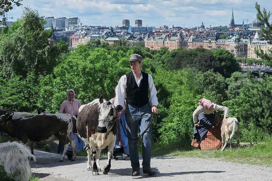 Stockholm: Skansen Open-Air Museum Admission Ticket - How much time to plan, and how to pace Skansen’s grounds