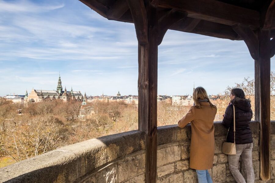 Stockholm: Skansen Open-Air Museum Admission Ticket - Seasonal celebrations and the historic Christmas market timing