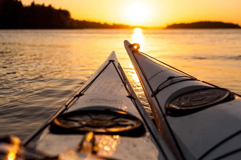Stockholm: Sunset Archipelago Kayaking & Toast on the Water - Wildlife Chances at Dusk: What You Can Look For