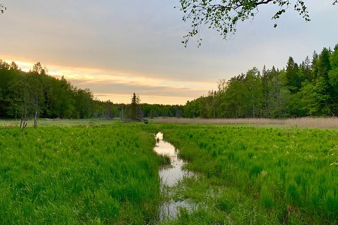 Stockholm: Sunset Hike in Tyresta National Park with Meal - Key points that make this hike worth it