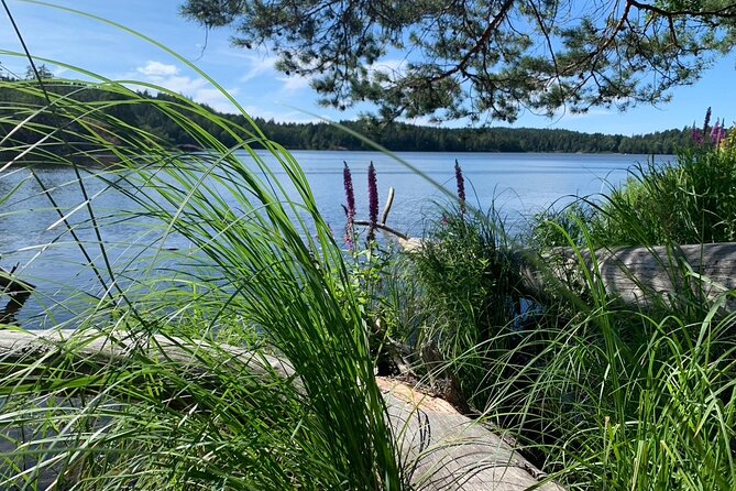 Stockholm: Sunset Hike in Tyresta National Park with Meal - Why Tyresta at sunset feels like a time reset
