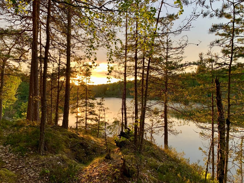 Stockholm: Sunset Hike in Tyresta National Park with Meal - Swedish fika and coffee breaks that keep the outing fun