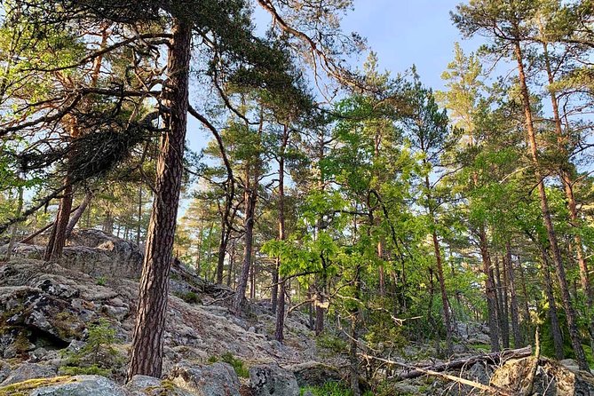 Stockholm: Sunset Hike in Tyresta National Park with Meal - Getting to Gullmarsplan, then out into the park