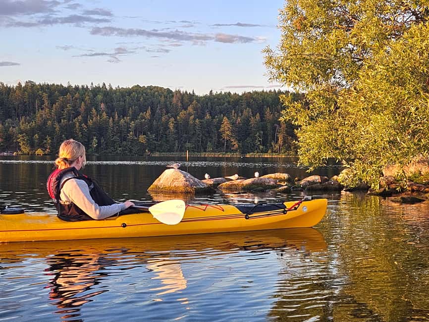 Stockholm: Sunset Kayak Tour on Lake Mälaren with Tea & Cake - Weather and gear reality check: staying comfortable for 4.5 hours