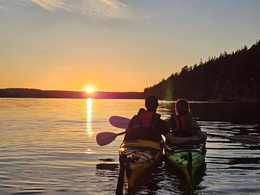 Stockholm: Sunset Kayak Tour on Lake Mälaren with Tea & Cake - Why Lake Mälaren sunset kayaking feels different than “just another tour”