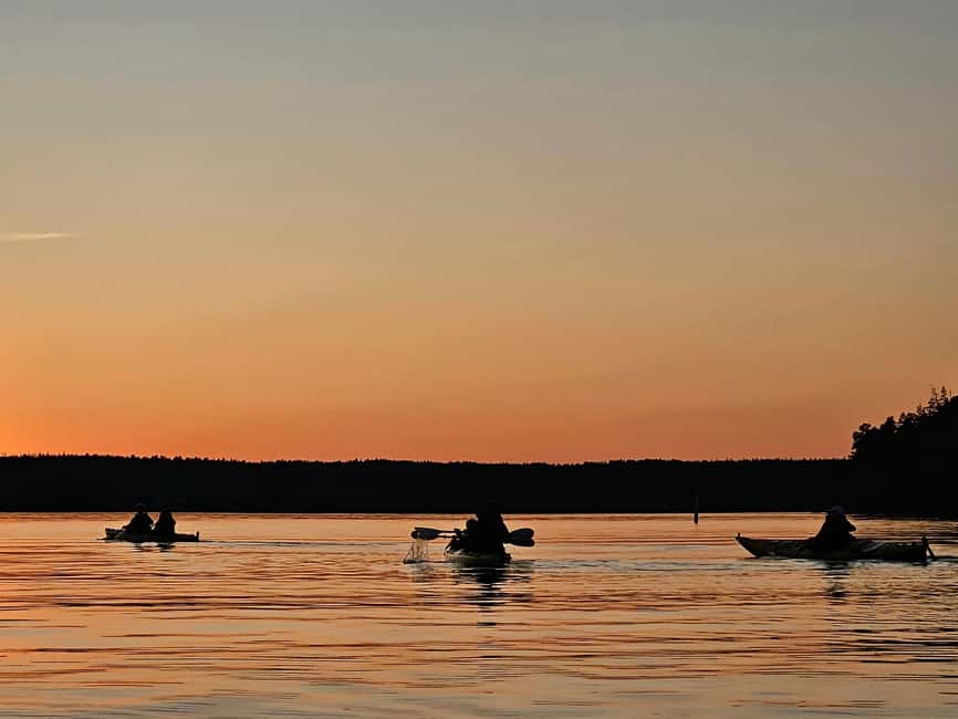 Stockholm: Sunset Kayak Tour on Lake Mälaren with Tea & Cake - Paddling part 2: twilight time and the best light for photos