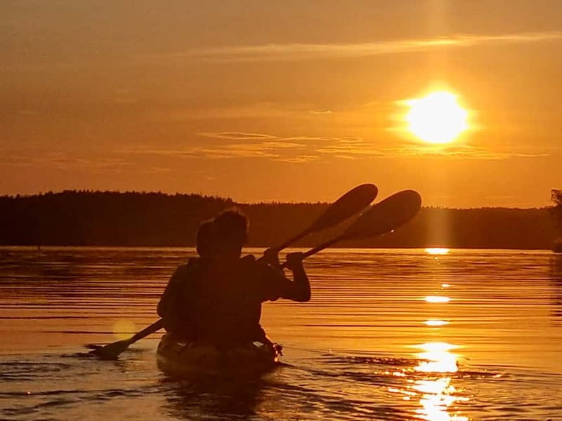 Stockholm: Sunset Kayak Tour on Lake Mälaren with Tea & Cake - Beaver safari in the twilight: what to expect and how to “play it right”
