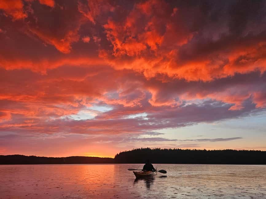 Stockholm: Sunset Kayak Tour on Lake Mälaren with Tea & Cake - Getting there: pickup options and how the van ride fits the plan