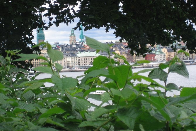 Stockholm Top attractions all-inclusive Gran Tour - Drottningholm Palace and Baroque Garden: UNESCO focus without the stress