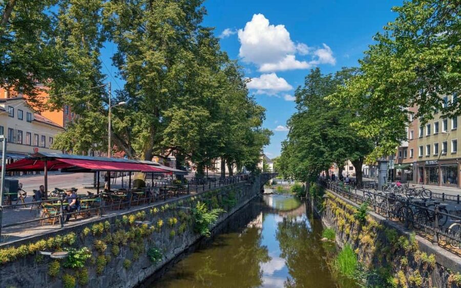 Stockholm: Uppsala Half-Day Swedish Oxford & Cathedral Tour - Uppsala University, the Swedish Oxford vibe, and the Gustavianum plus Carolina Rediviva