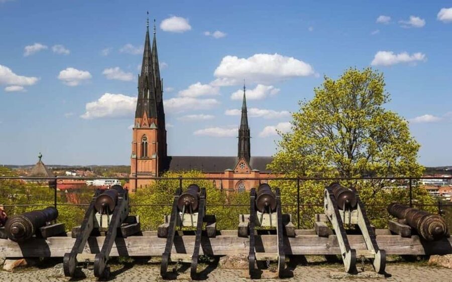 Stockholm: Uppsala Half-Day Swedish Oxford & Cathedral Tour - Botanical Garden paths and Carl Linnaeus: a calm break before the train ride home