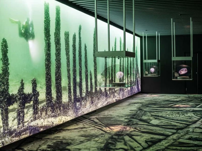 Stockholm: Vasa Museum and Vrak Museum of Wrecks Combo Entry - Time needed: how long you should budget for a satisfying visit