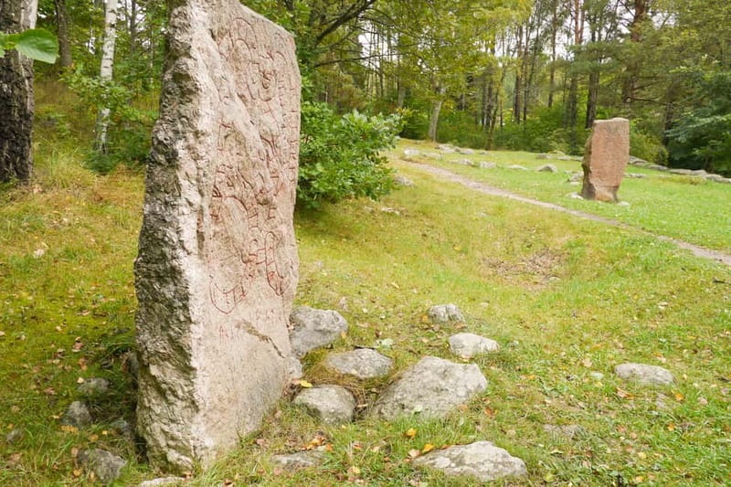 Stockholm Viking History Full Day Tour to Sigtuna + Uppsala - Key highlights to look for
