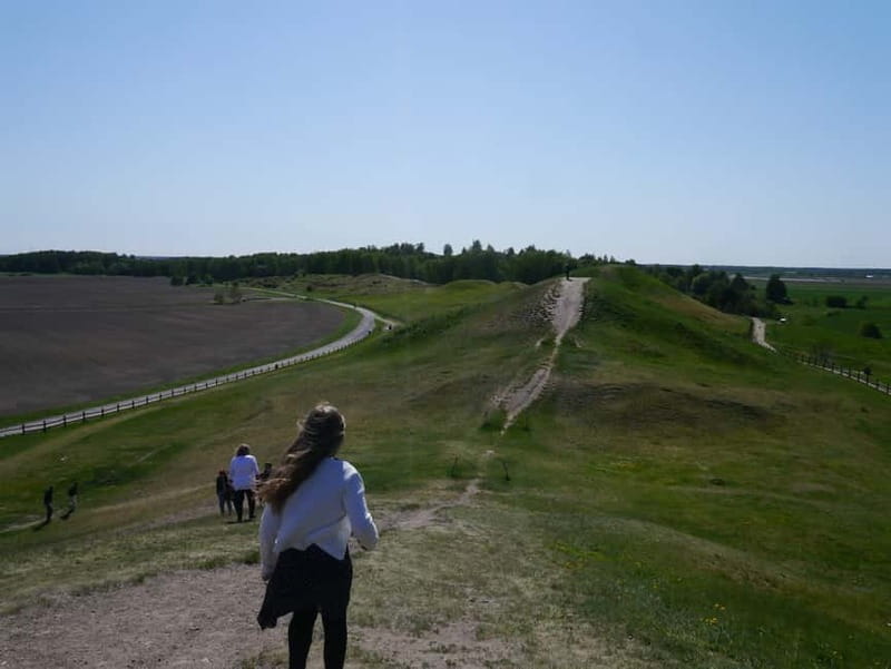 Stockholm Viking History Full Day Tour to Sigtuna + Uppsala - Uppsala town time, cathedral energy, and what it signals