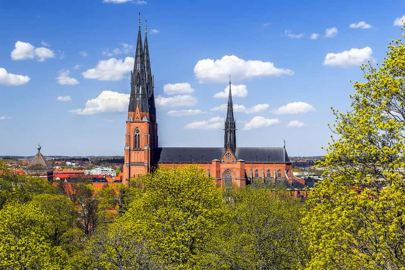 Stockholm Viking History Full Day Tour to Sigtuna + Uppsala - Gamla Uppsala: the 11-meter grave mounds and Viking power in stone and earth