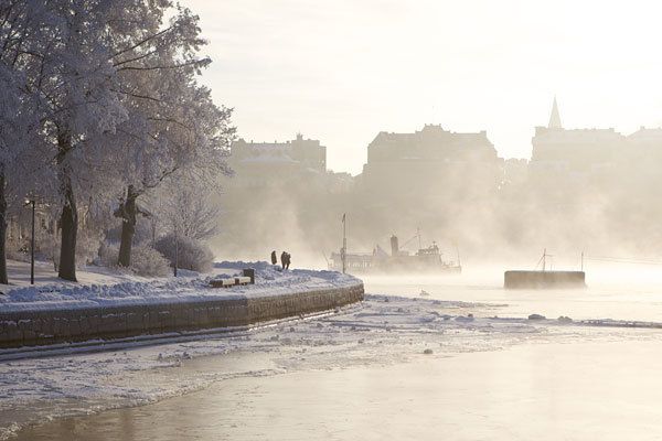 Stockholm: Winter Boat Tour with Guide - Guide Style: Humor, Storytelling, and Pointing Out What Matters