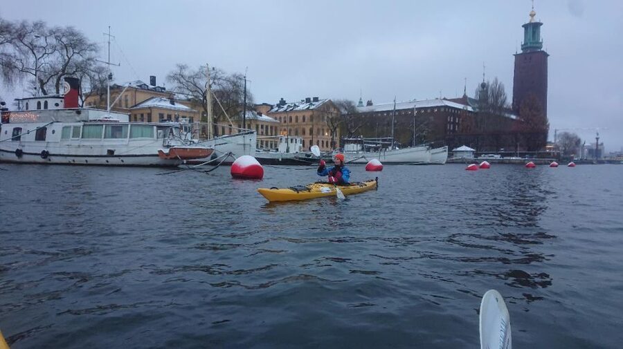 Stockholm: Winter City Kayaking Tour - Who This Tour Works Best For