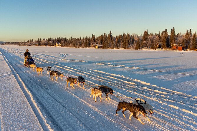 Sunrise Zen Husky Tour (10:00 to 13:00 - sitting on the sled) - Key Things I’d Pay Attention To Before You Go