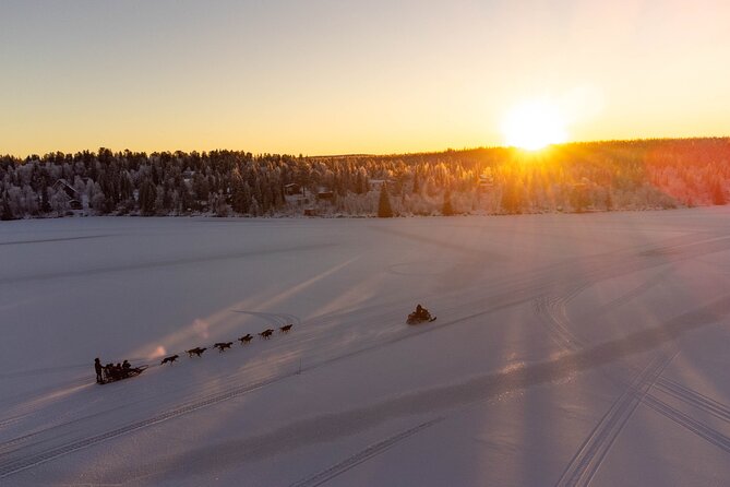 Sunrise Zen Husky Tour (10:00 to 13:00 - sitting on the sled) - Price and Value: What $264.52 Actually Covers