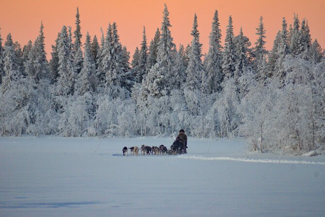 Sunrise Zen Husky Tour (10:00 to 13:00 - sitting on the sled) - Photo and Video Reality Check: What You Can Expect