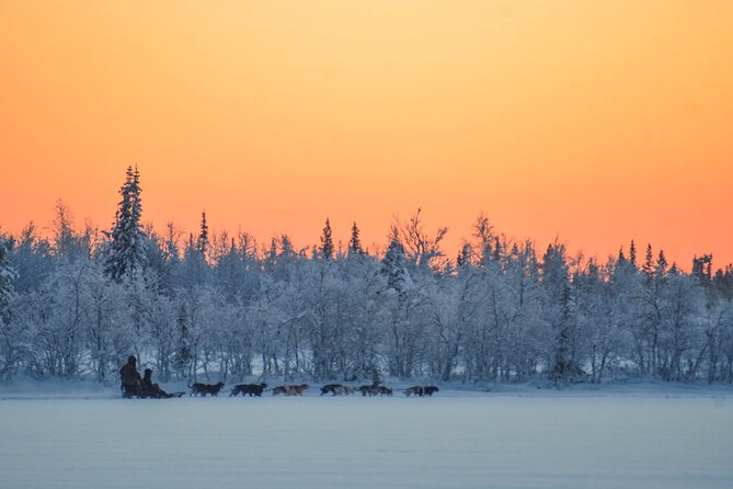 Sunrise Zen Husky Tour (10:00 to 13:00 - sitting on the sled) - Pickup and Getting Dressed: The Part That Makes or Breaks a Cold Tour
