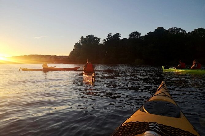 Sunset Kayak Tour in Central Stockholm and Swedish Fika - Swedish fika on the water: the break you will actually remember