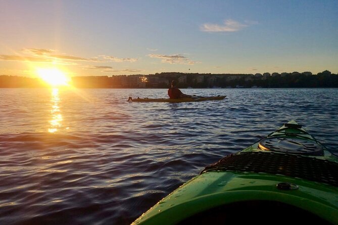 Sunset Kayak Tour in Central Stockholm and Swedish Fika - Price and value: is $147.14 per person a smart buy?