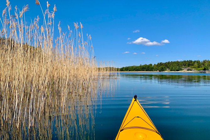 Sunset Kayak Tour in the Stockholm Archipelago + Swedish Fika - The island stop and Swedish fika: why the picnic is more than snacks