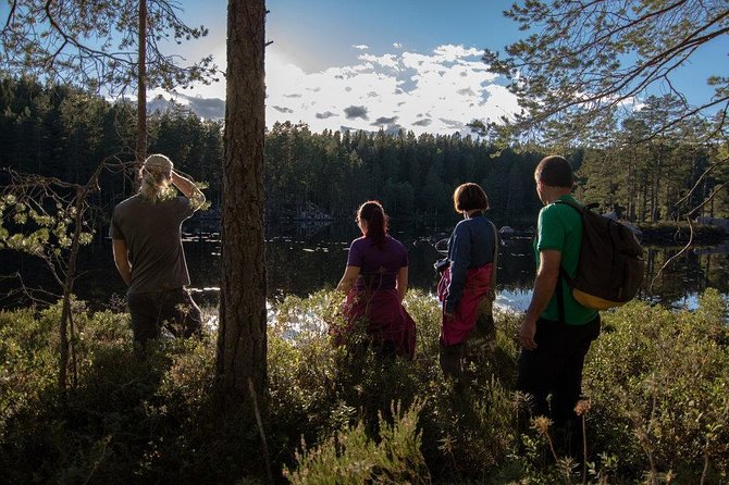 The Wolf Howl Experience - Food and Camping Setup: Outdoor Meals, Provided Gear, Hammock Reality